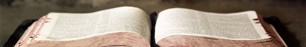 Worship Scripture Readings